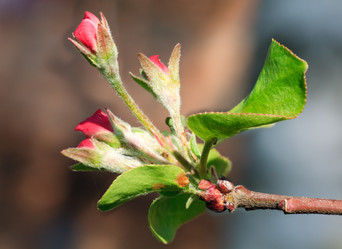 Similar image 438404