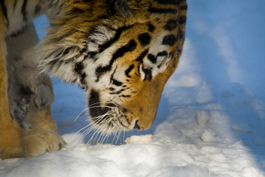 Similar image 438417