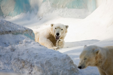 Similar image 438420