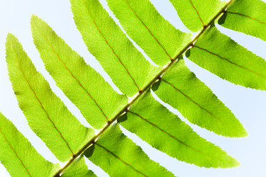 Similar image 438441