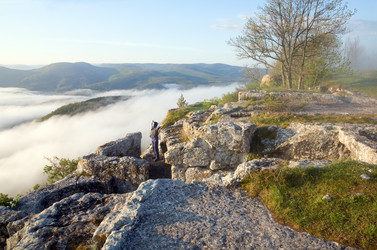 Similar image 438453