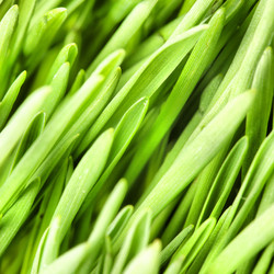 Similar image 438468