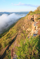 Similar image 438480