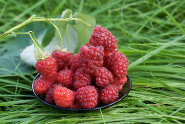 Similar image 438497