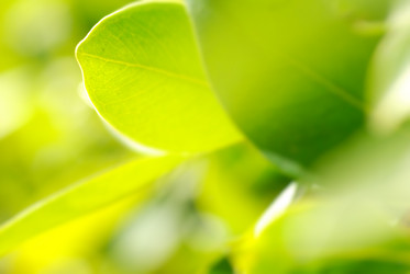 Similar image 438563