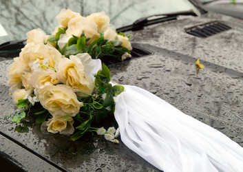 Similar image 438568