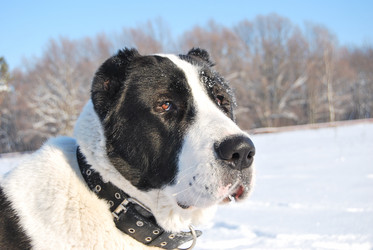 Similar image 438673