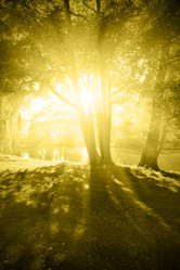 Similar image 438693