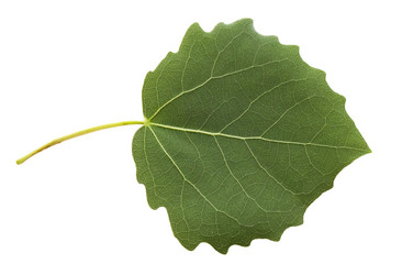 Similar image 438695