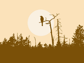 Similar image 438727