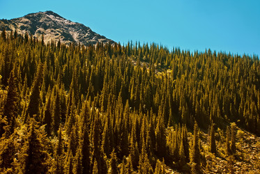 Similar image 438807