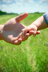 Similar image 438837