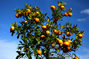 Similar image 438856