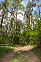 Similar image 438864