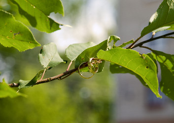 Similar image 438925