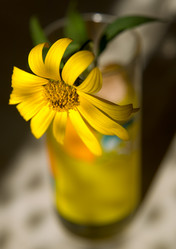 Similar image 438932