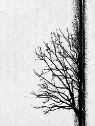 Similar image 438935