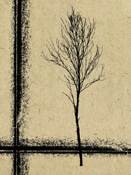 Similar image 438936