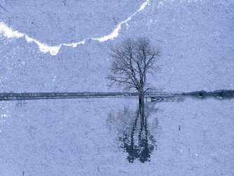 Similar image 438939