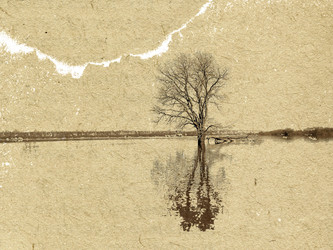 Similar image 438940