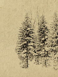 Similar image 438941