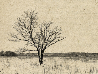 Similar image 438943