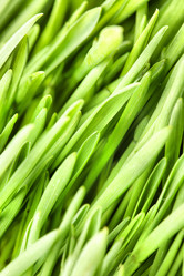 Similar image 439094