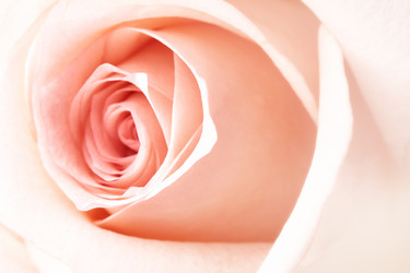 Similar image 439097