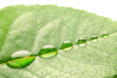 Similar image 439181