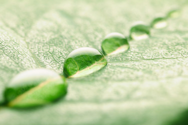 Similar image 439183