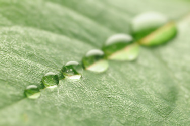 Similar image 439275