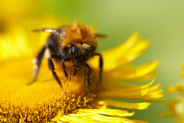 Similar image 439357