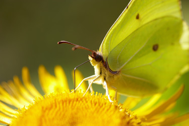 Similar image 439358