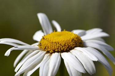 Similar image 439364