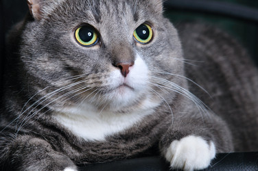 Similar image 439372