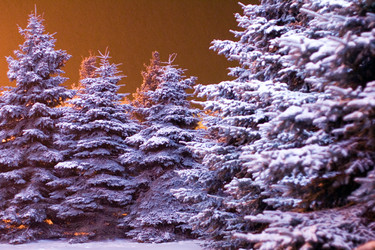 Similar image 439406