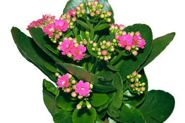 Similar image 439437