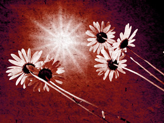 Similar image 439447