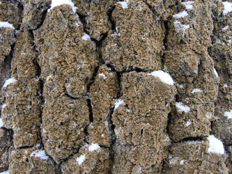 Similar image 439483