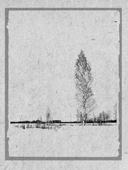 Similar image 439487