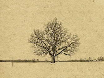 Similar image 439488