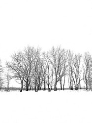 Similar image 439490