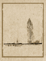 Similar image 439493