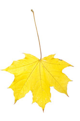 Similar image 439522