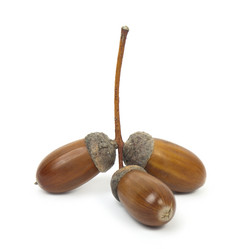 Similar image 439525