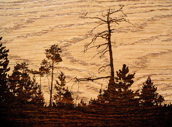 Similar image 439535