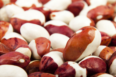 Similar image 439550