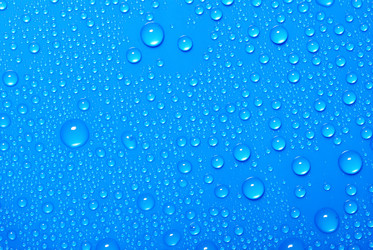 Similar image 439563