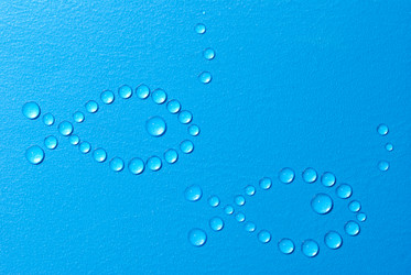 Similar image 439571