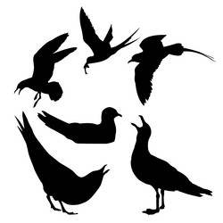 Similar image 439619